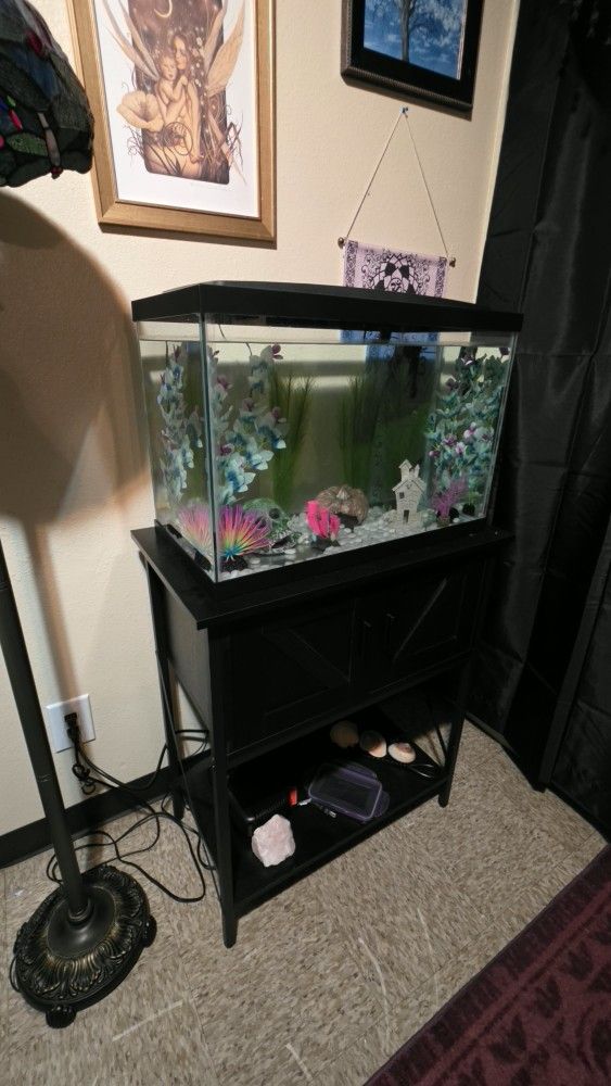 Aqueon 20 Gallon Aquarium