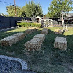 Free Hay Barrels