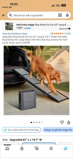 Dog ramp.