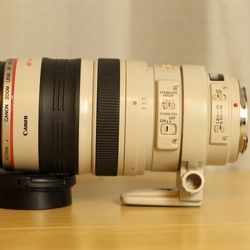 Canon EF 100-400mm  Lens