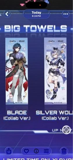 Honkai Official Star Rail Blade & Silver Wolf 27x78 Towels.