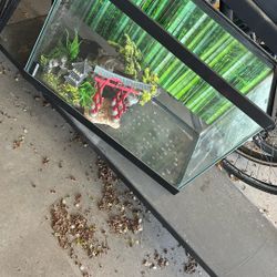 Small fish tank