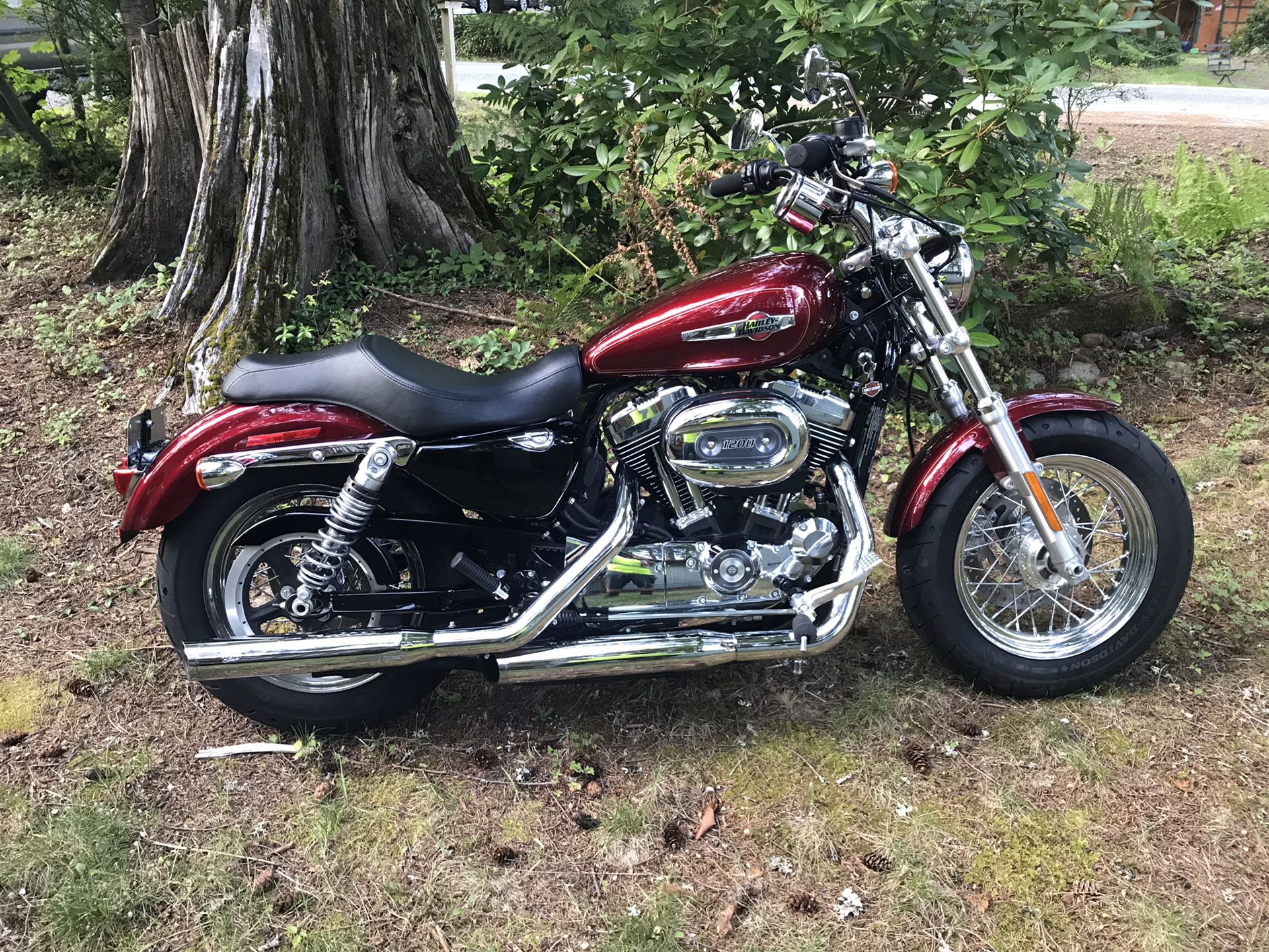 Harley Davidson 2017 1200 Custom