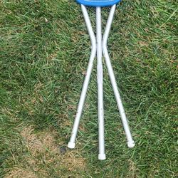 Golf Chair And Walking Stick