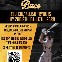 Illinois Bucs Travel Baseball Team 