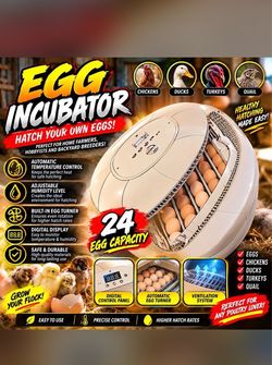 Automatic Egg Incubator 24-Egg Capacity