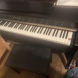 Kawaihae electric piano 