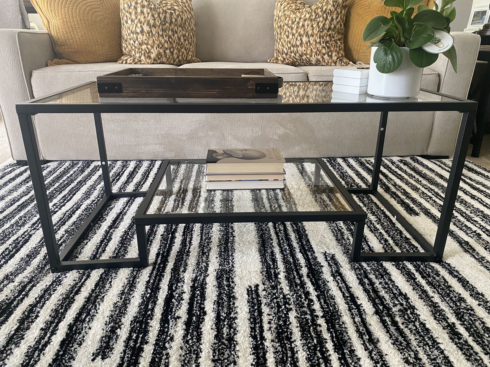 Glass Top Coffee Table (2 Months Gently Used)