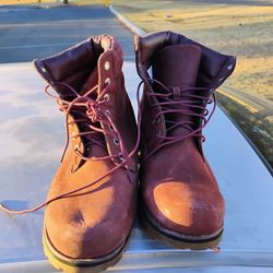 Timberlands Burgandy