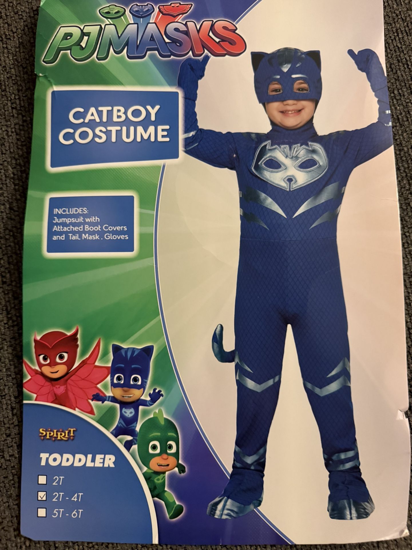 cat Boy Pjmasks Costume