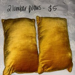 2 Lumbar Pillows