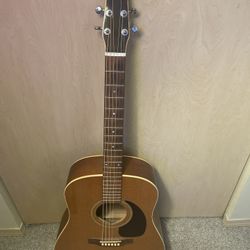 Seagull acoustic