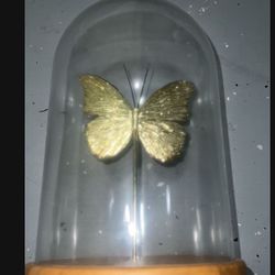 Butterfly Decor Piece Almost New 
