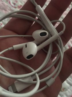 Apple headphones