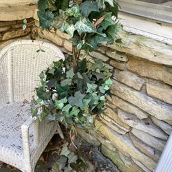 Decorative topiary tree 