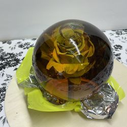 Multicolored Rose Globe