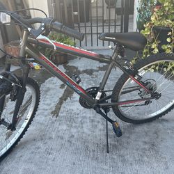 24” Granite Color Bicycle