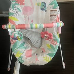 Baby Bouncer 