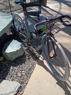 Thorne Fixie