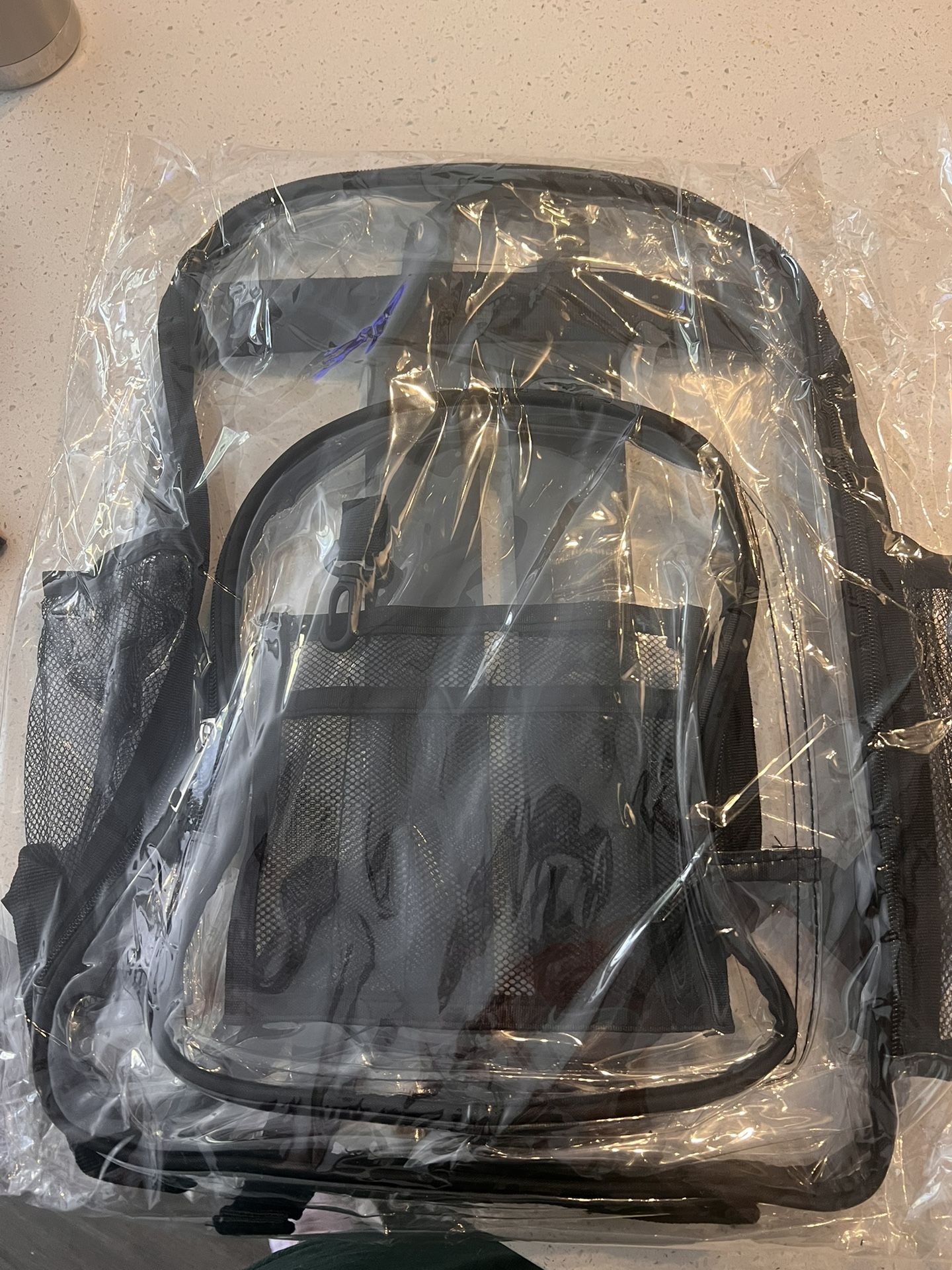 Clear Backpack