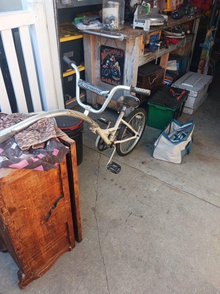 Schwinn Hitch Hiker Bike