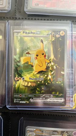 Pikachu 276