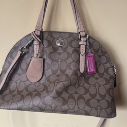 Coach Peyton Dome Signature Satchel 