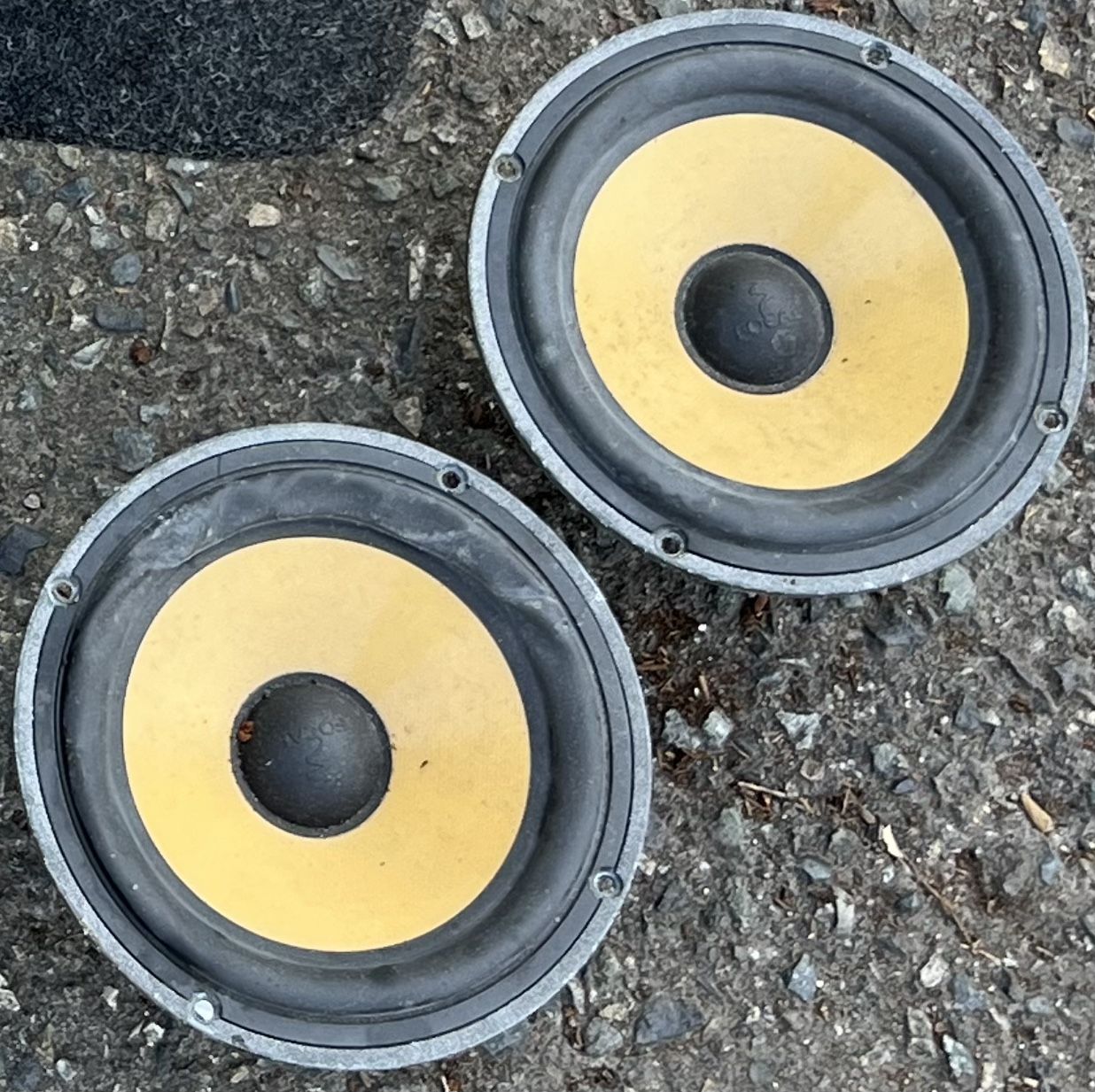 10 “Focal Speakers