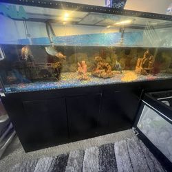 Fish Tank 200 Gallons