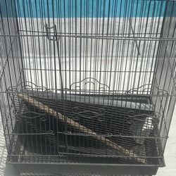 Bird Cages