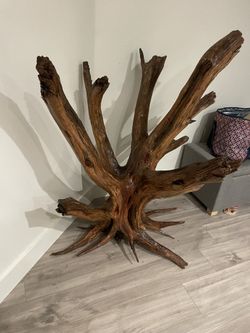Live Oak Living Room Art Piece