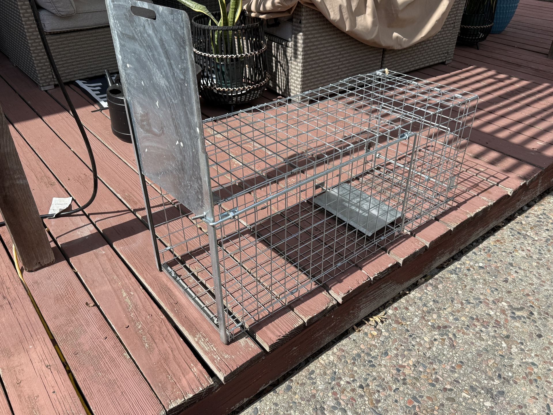 Medium Size Animal Trap