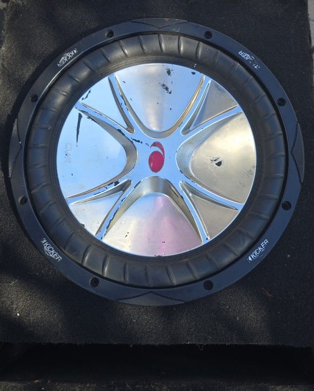 12" Subwoofer 