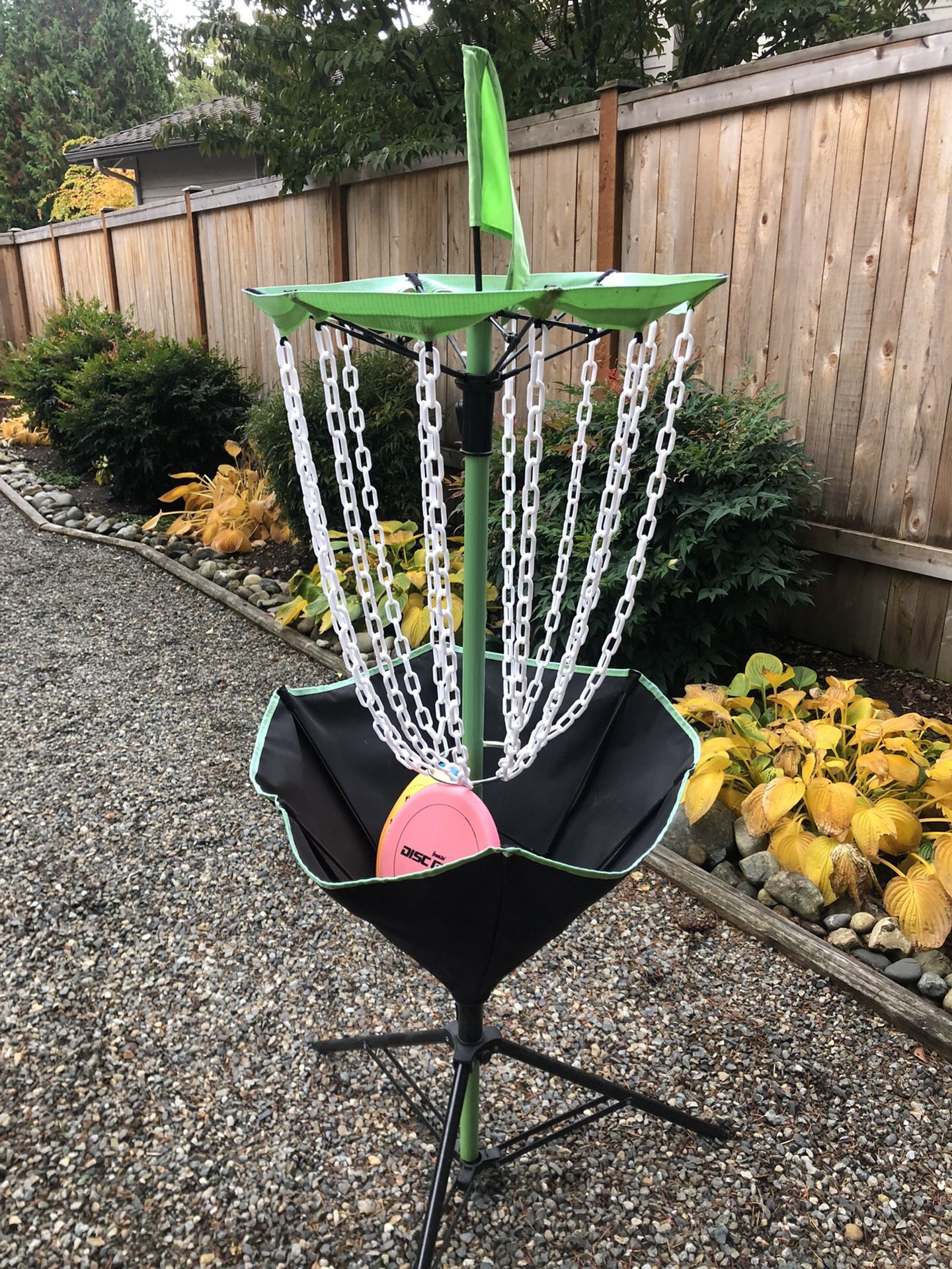 Disc Golf Set