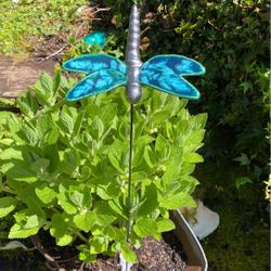 Unique Small Dragonfly