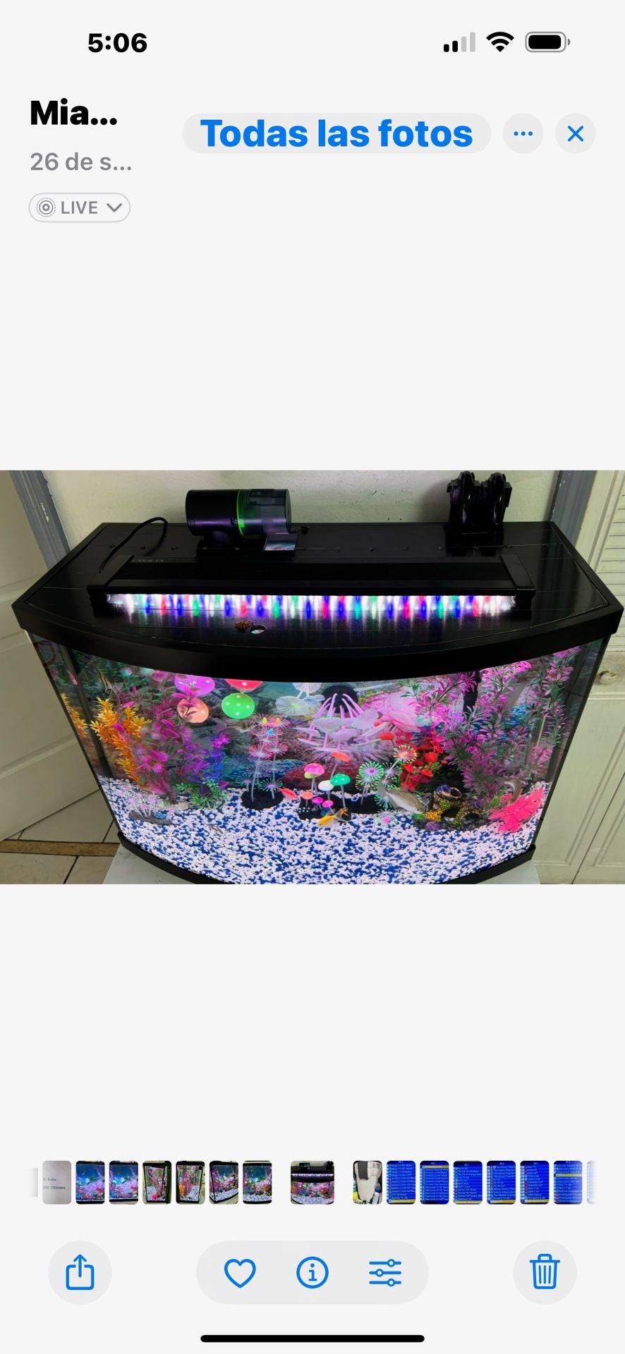 Aquarium 36 Gallons