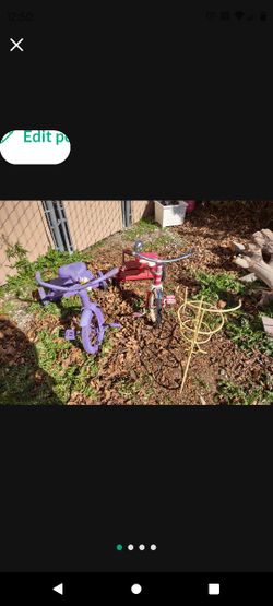 Lawn Art 