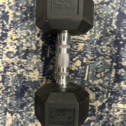 Single 25 LB Dumbbell