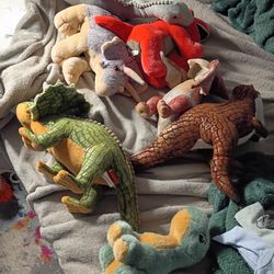 Stuffy Toy Dinosaurs 7 In Total$3 Each