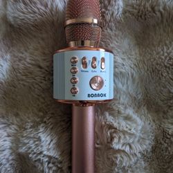 Karaoke Microphone