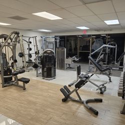 Commercial Gym Equipment Exercise Fitness Matrix Small Package