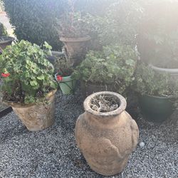 Pots For Plants 