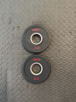 REP 2.5lb Rubber Plates