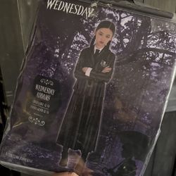 Wednesday Costume 