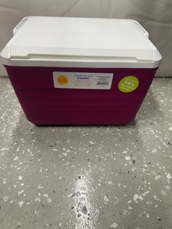 Small Cooler ( New )