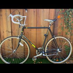 Schwinn World Sport Road Bike