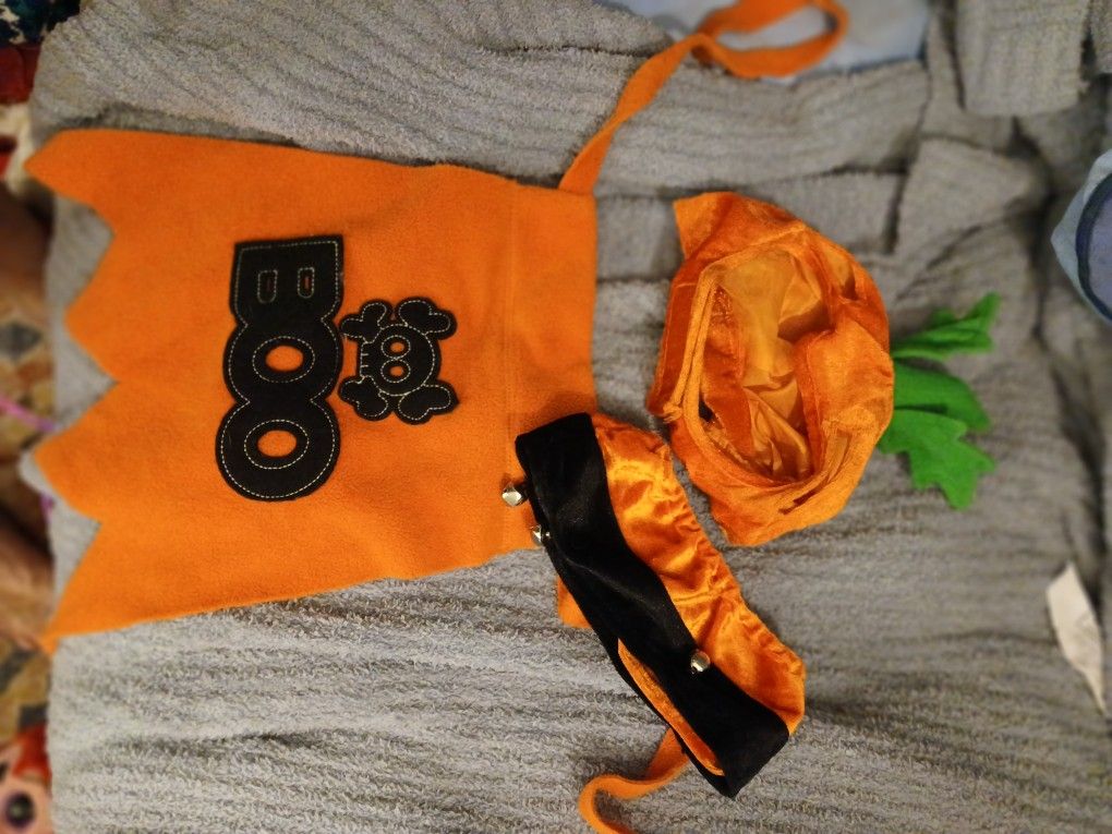 Dog Costume
