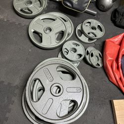 Weider Cast Iron Weights 