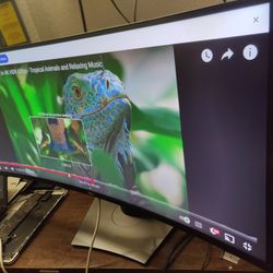 Dell U-Series 38" 4K UHD 1600p Ultra Wide Screen LED-Lit Monitor (U3818DW), Black. Has 2X HDMI, 1x Display Port 1x USB C , 4x USB 3.0 Ports Available.