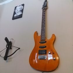 Ibanez  Electric Guitar 